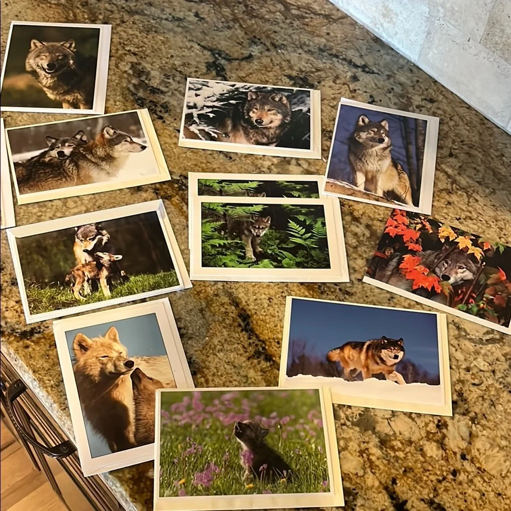 Wolf Themed Greeting Cards Set